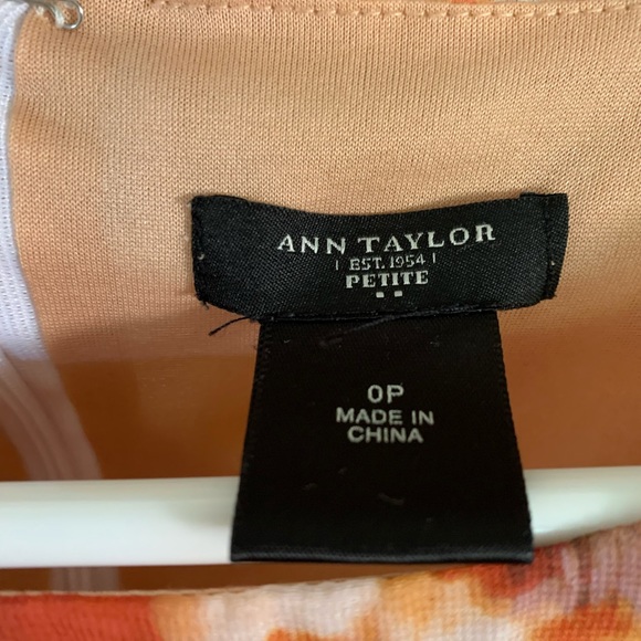 Super Cute Ann Taylor Dress - Picture 2 of 8